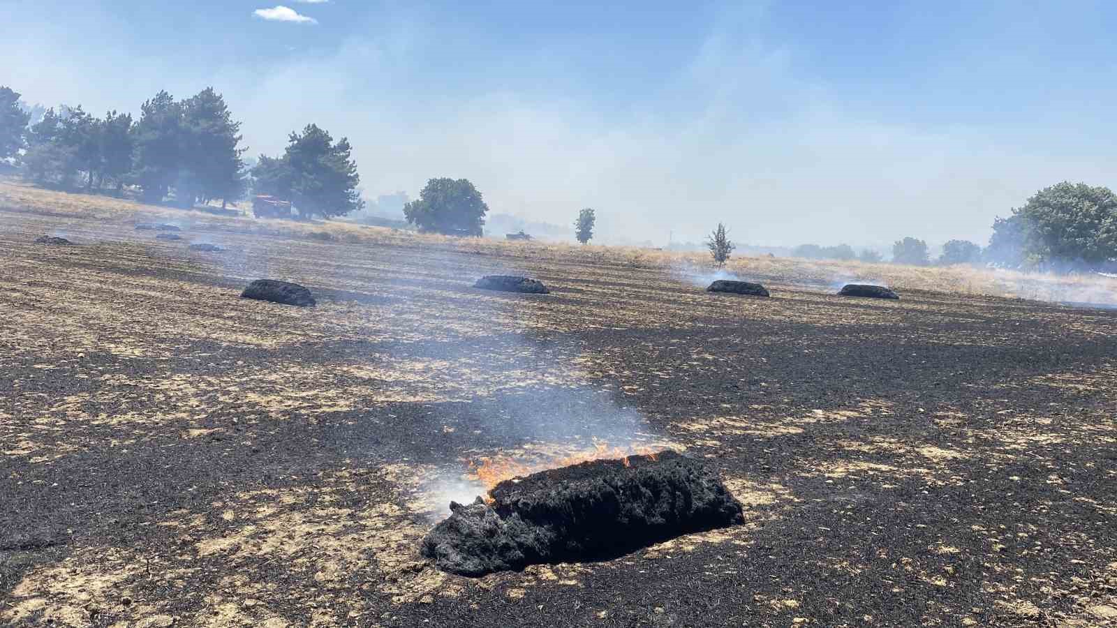 Çanakkale ve Biga’daki yangınlarla ilgili 3 kişi hakkında adli işlem yapıldı 
