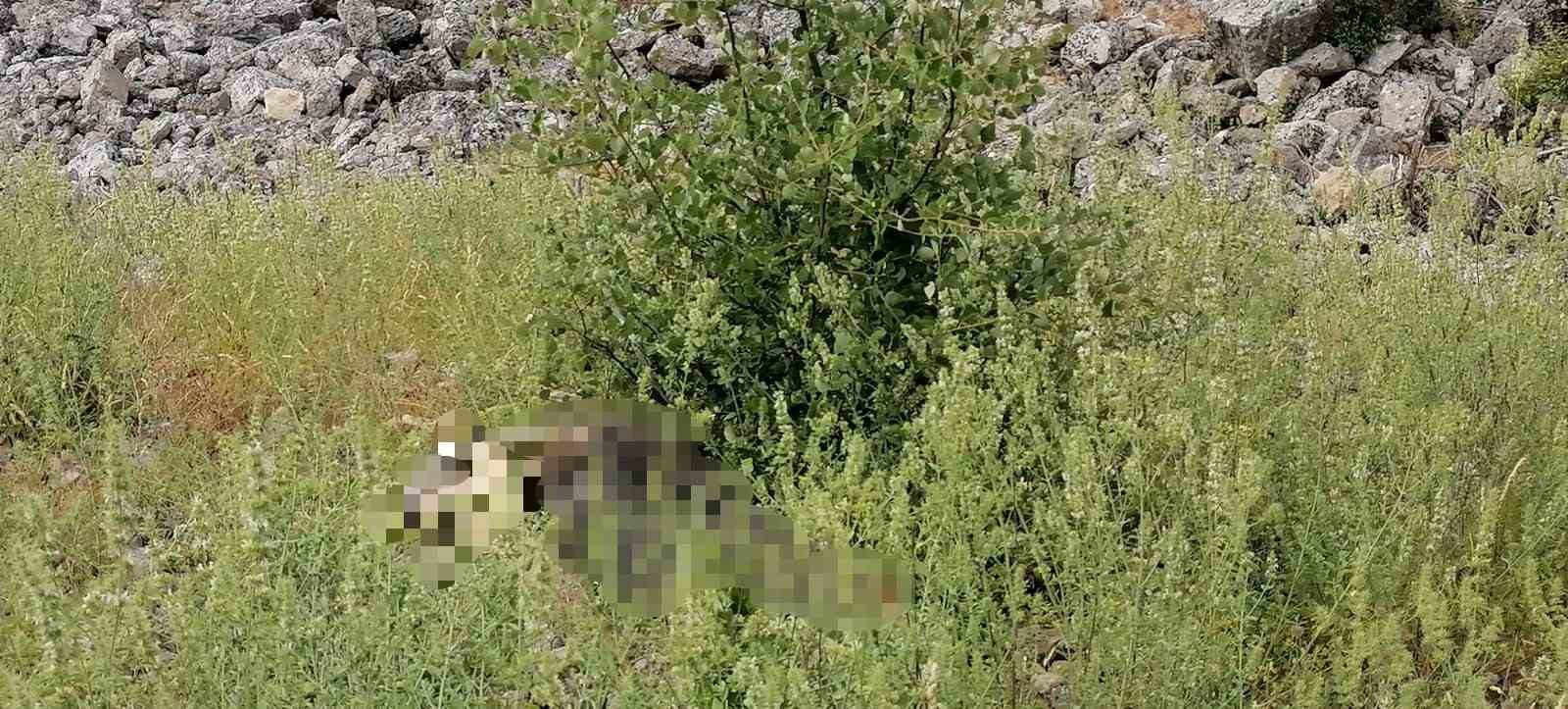 Ot toplamak için antik kente çıkan kadın kayalıklardan düşerek hayatını kaybetti 