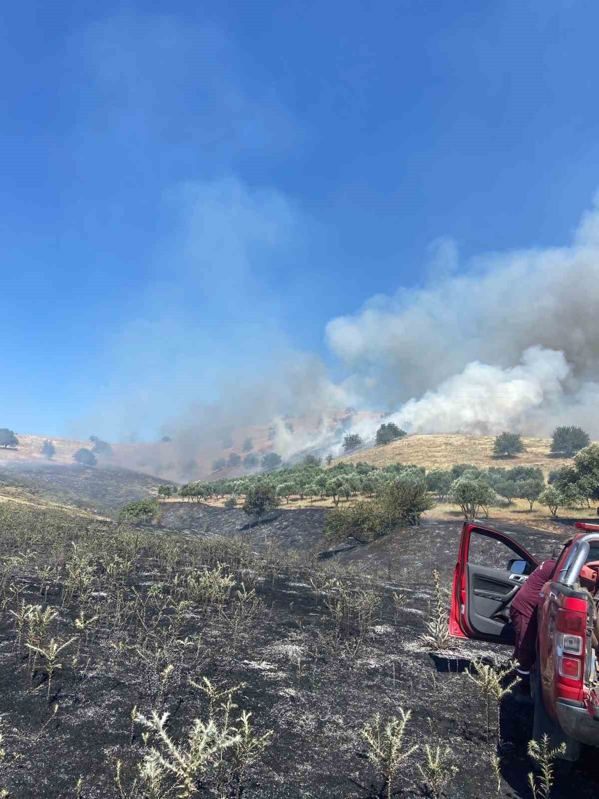 Nazilli’de zirai alan yangını 