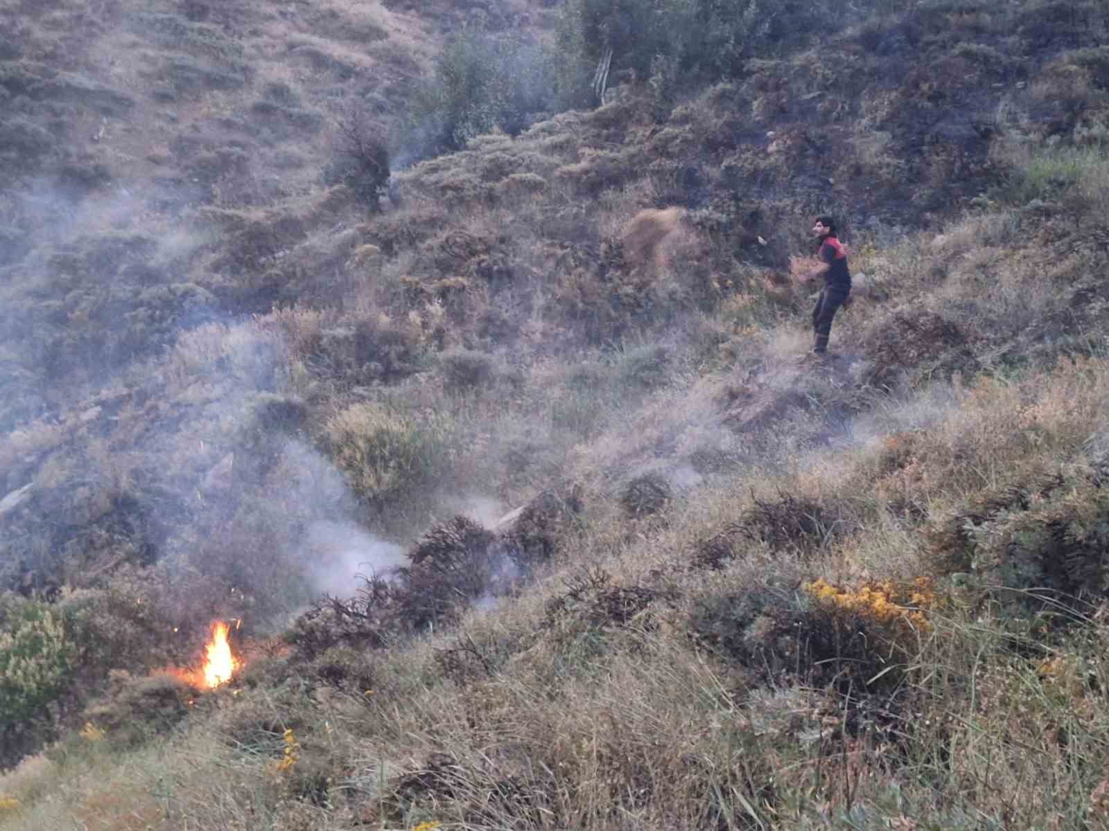 Bingöl’de ağaçlık alanda yangın 