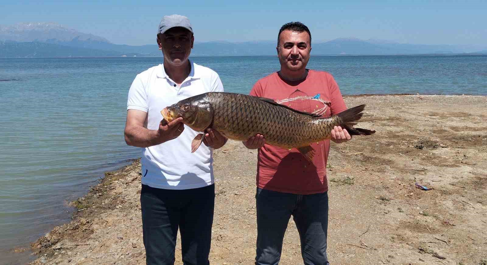 Beyşehir Gölünde ağlara vuran 17 kiloluk sazan balığı şaşırttı 