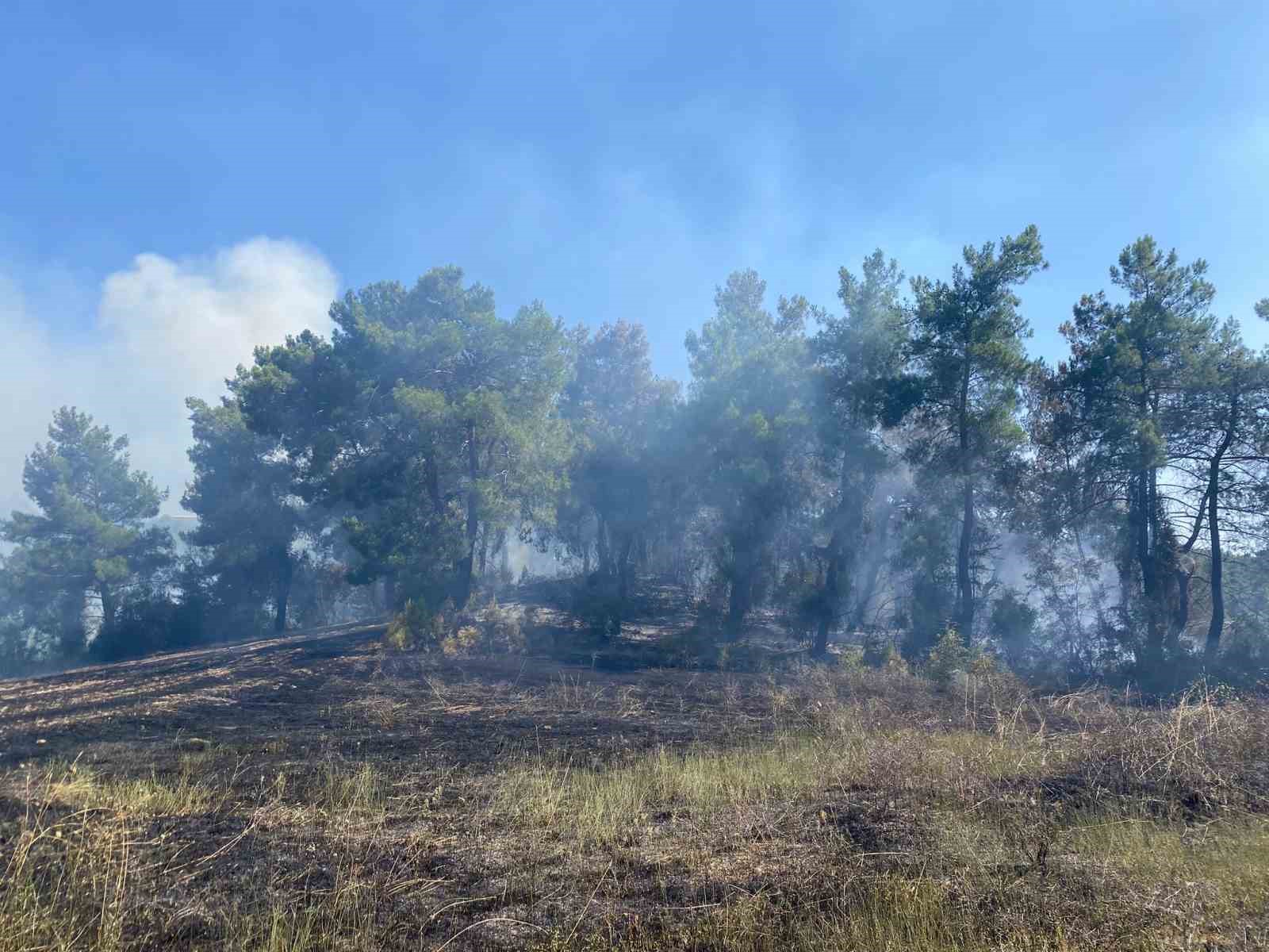 Antalya’da ormanlık alanda çıkan yangın 2 saatte kontrol altına alındı