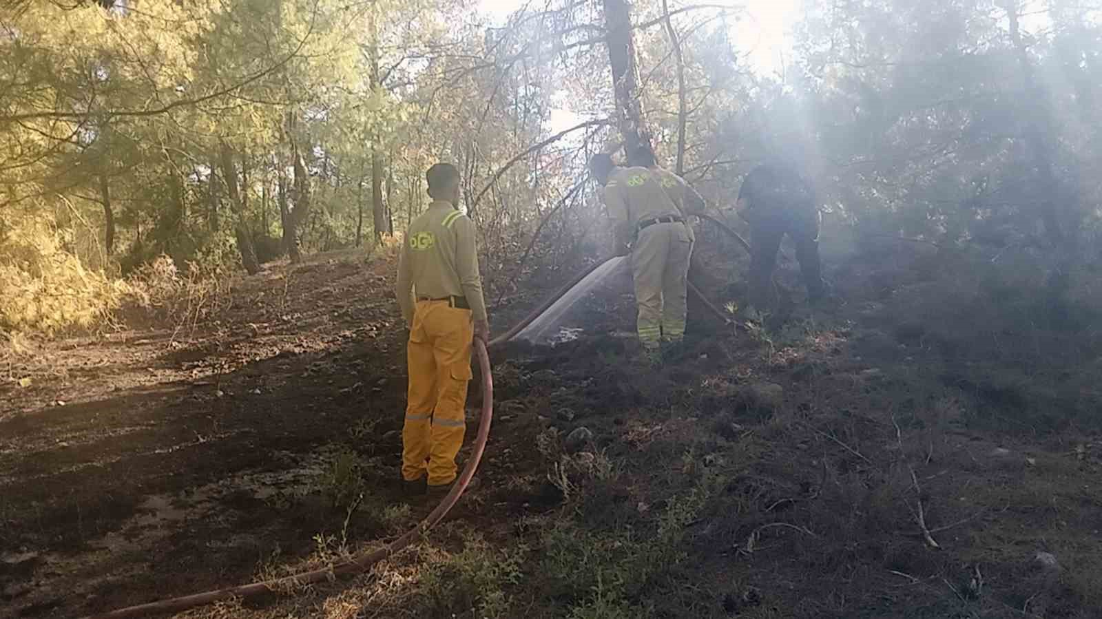 Menteşe yangını büyümeden söndürüldü 