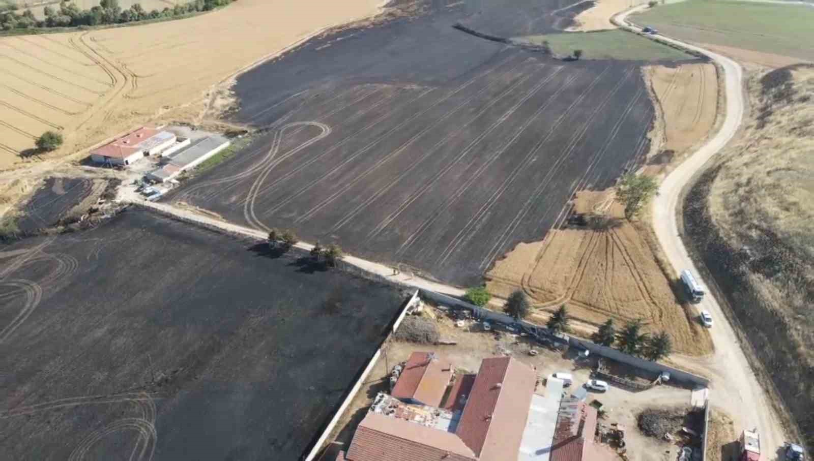 Tekirdağ’da 100 dönüm tarım arazisi yandı 