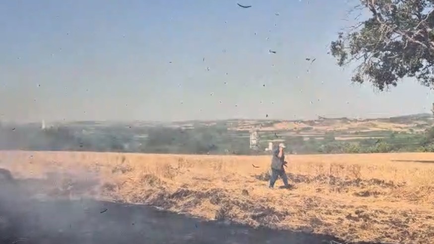 Buğday tarlasında yangın 