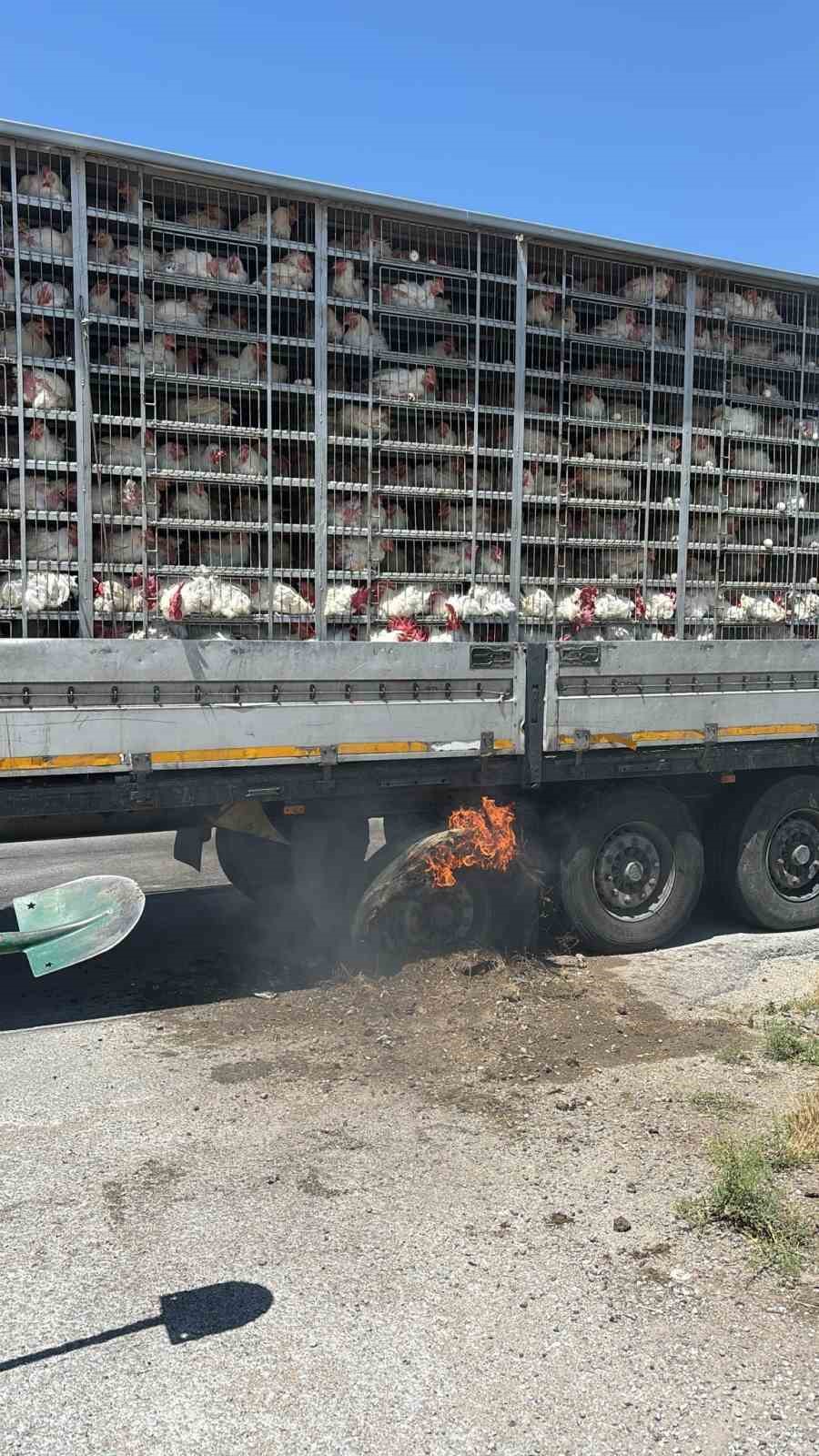 Canlı tavuk dolu tırda yangın paniği