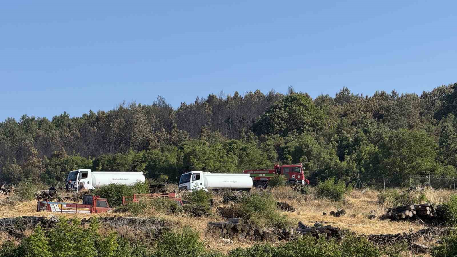 Sakarya’daki orman yangını kontrol altına alındı 