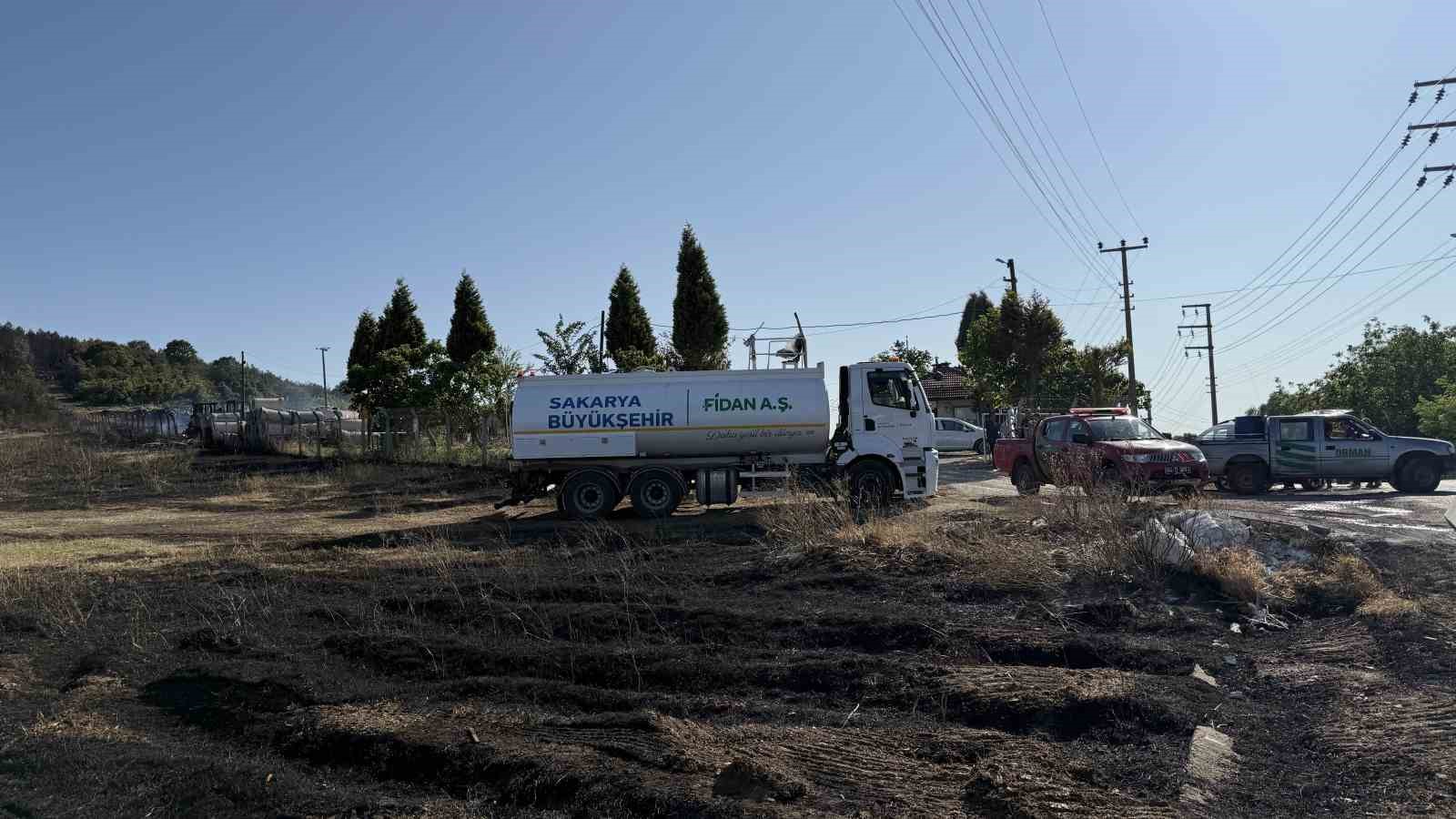 Sakarya’daki orman yangını kontrol altına alındı 