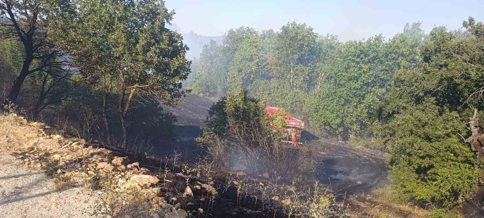 Çan’da tarım arazisinde yangın çıktı 