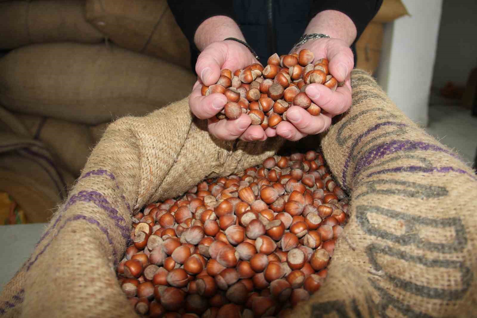 Fındıkta stoklar eriyor, yeni sezonun yolu açılıyor 