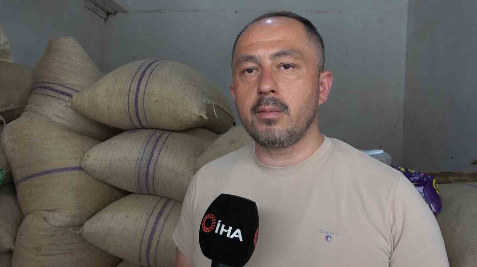 Fındıkta stoklar eriyor, yeni sezonun yolu açılıyor 