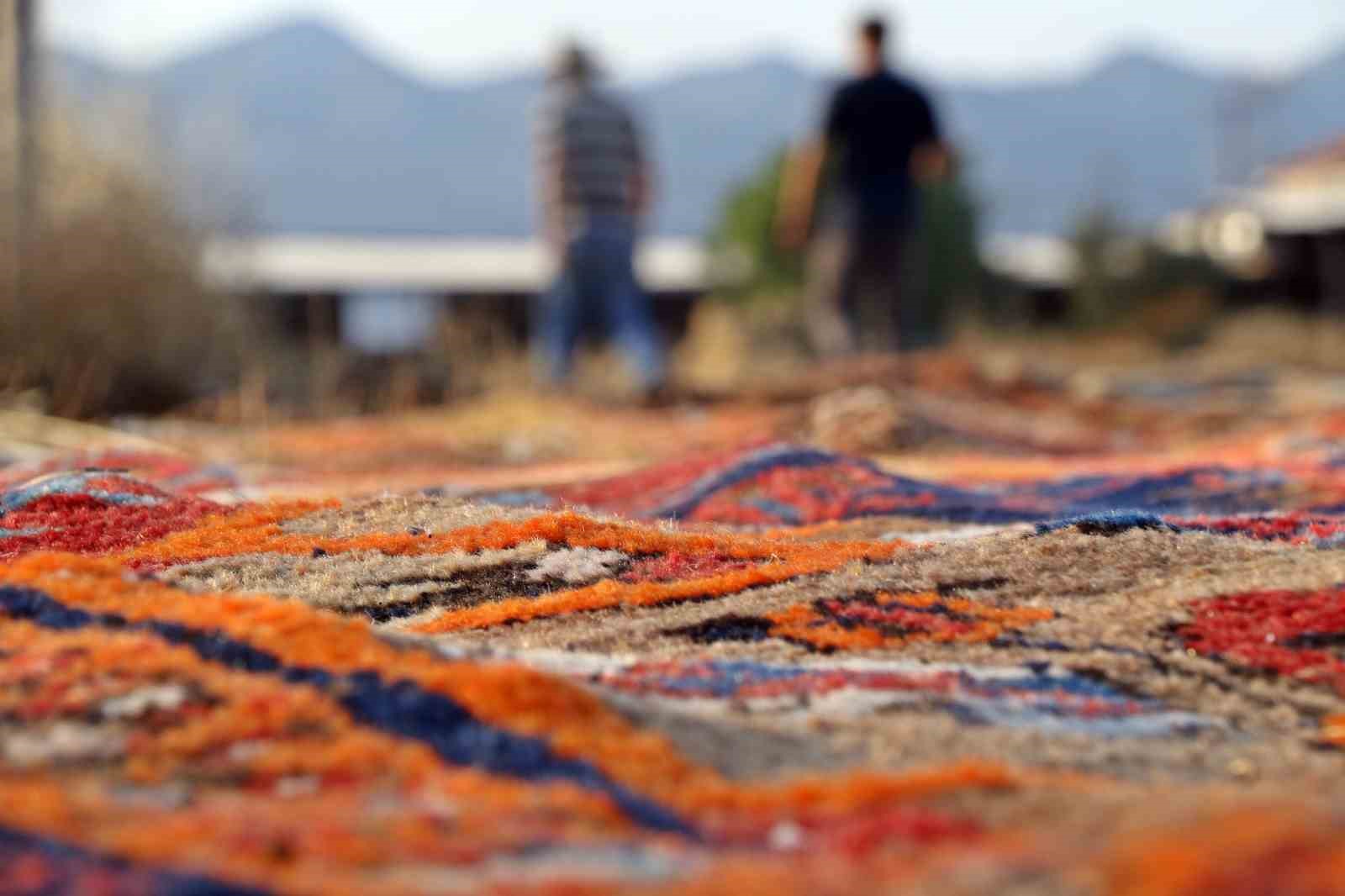 Tarlalarda milyonluk halı nöbeti başladı 