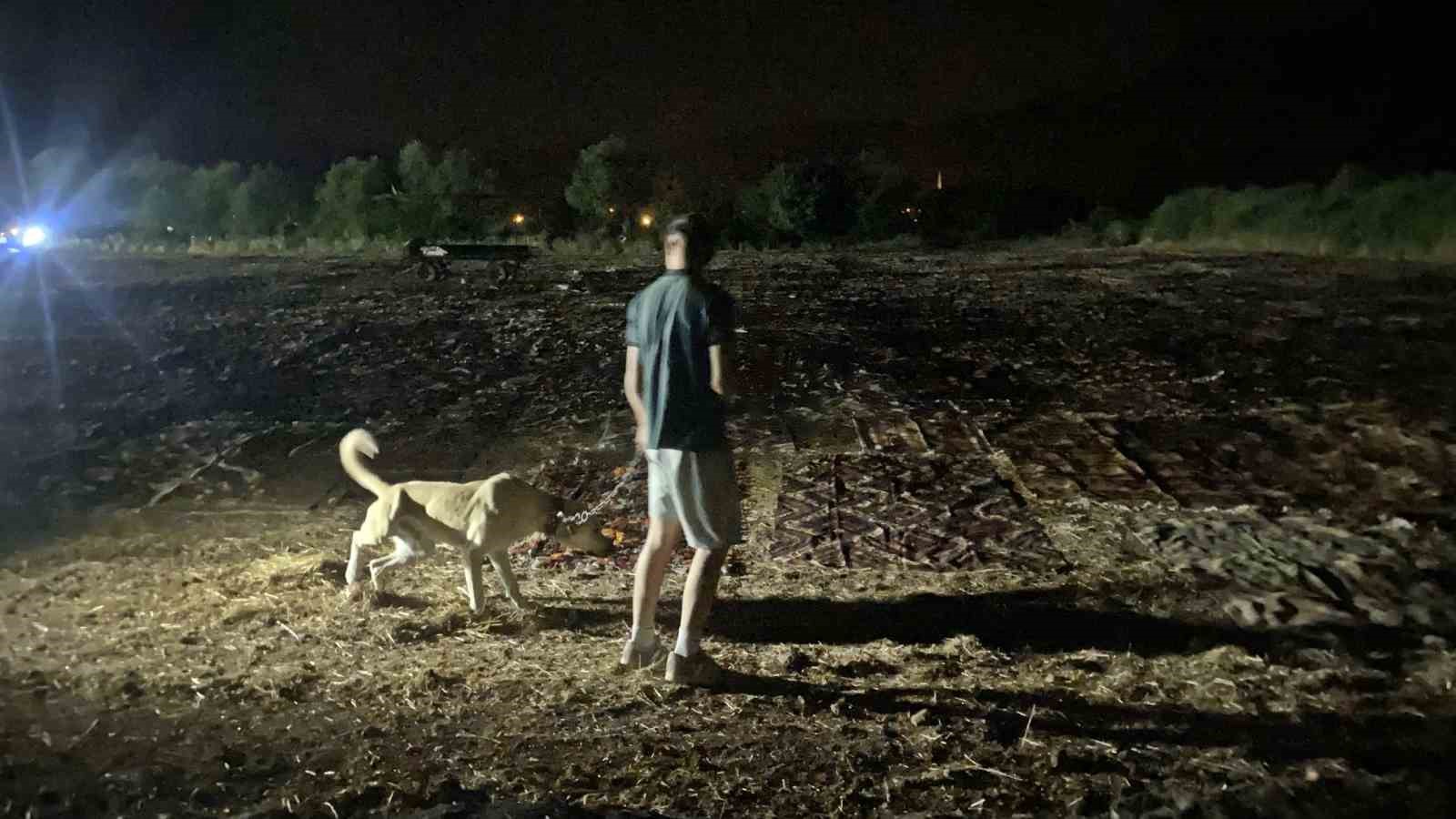 Tarlalarda milyonluk halı nöbeti başladı 