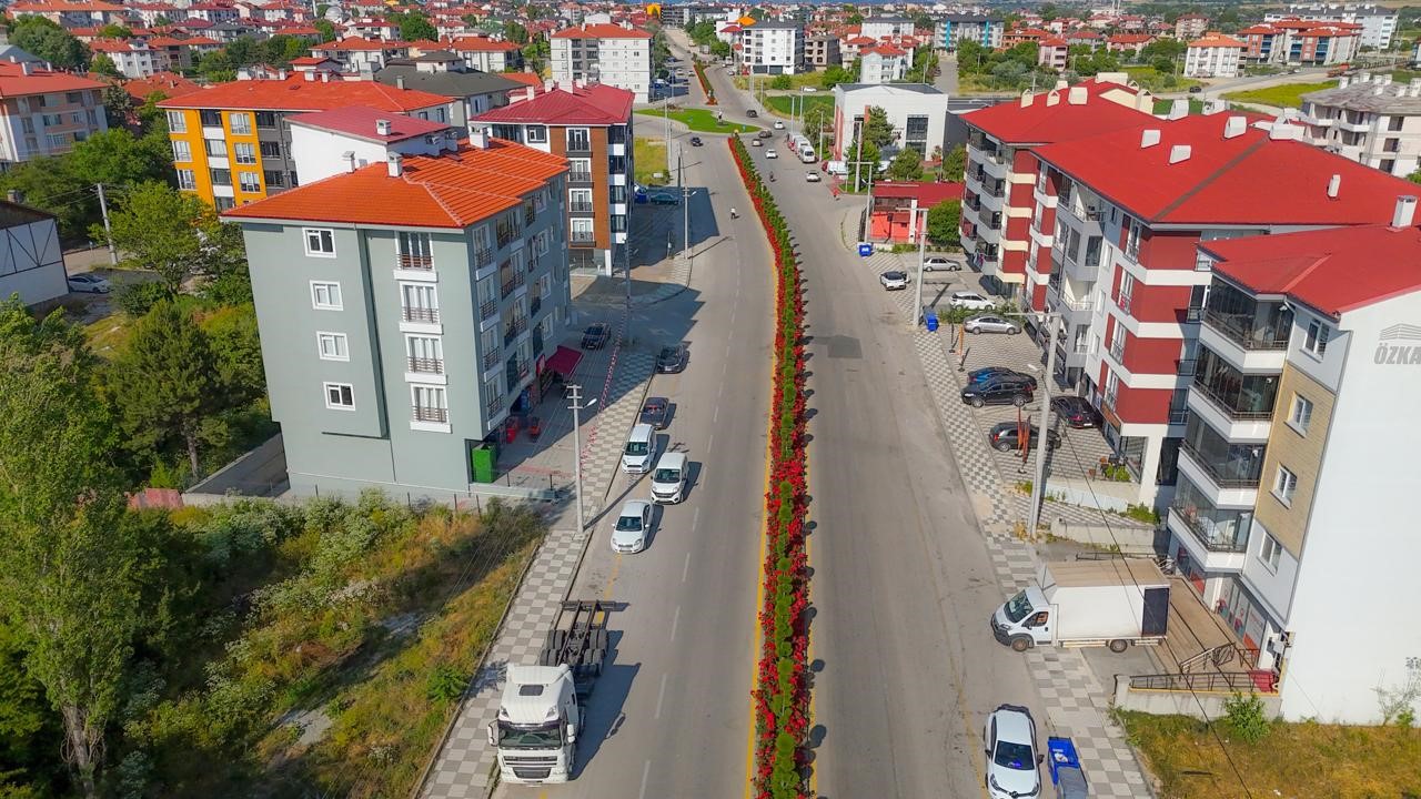 Bolu Belediyesi şehri gül bahçesine dönüştürdü: 561 bin gül ekildi 