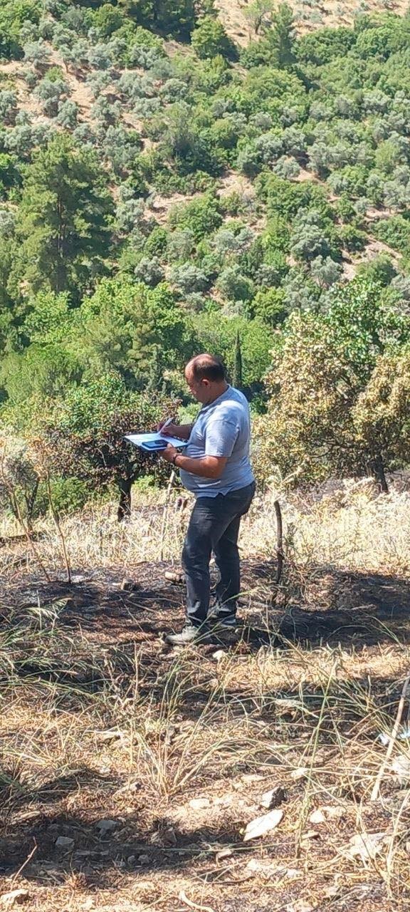 Yeşilyurt’taki yangında zarar gören tarım alanlarında hasar tespit çalışması yapıldı 