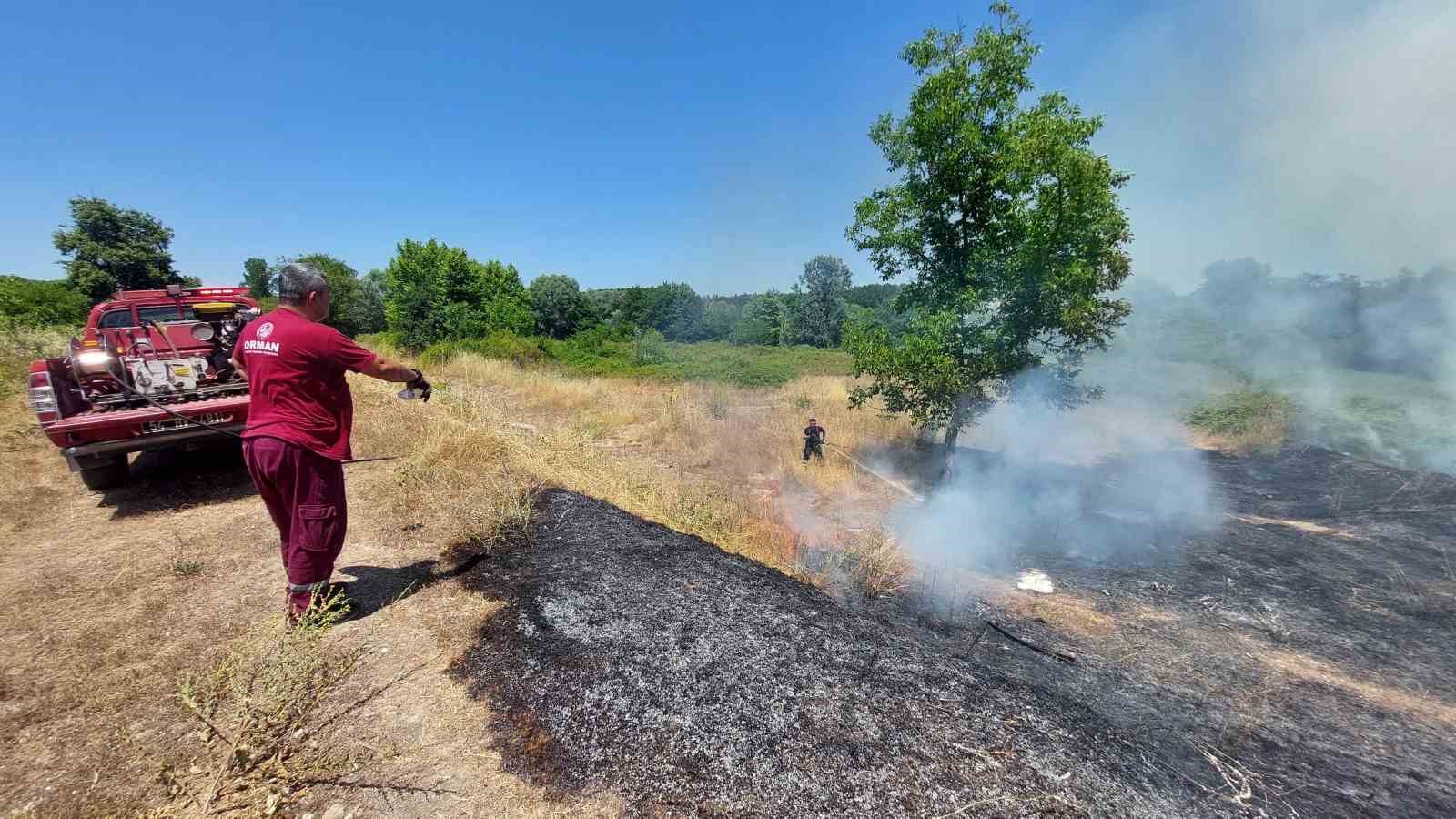 Sakarya’da ormanlık alanda yangın: Ekipler seferber oldu 