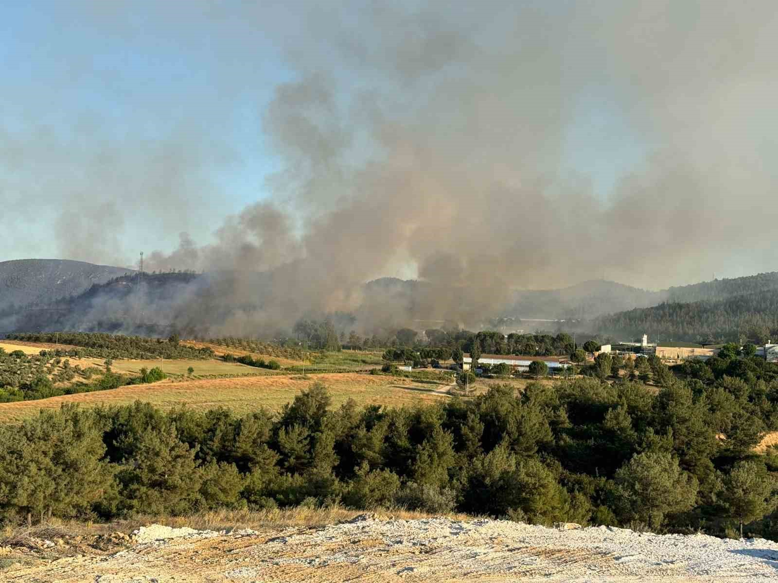 Bilecik’te çıkan orman yangını NATO tesislerine sıçradı 