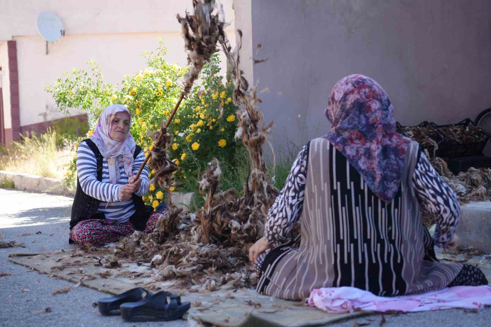 Kollar sağlık için sıvandı: Bayburtlu kadınların yün çırpma mesaisi başladı 