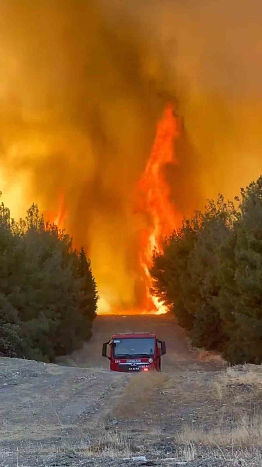 Foça’da yangın devam ediyor 