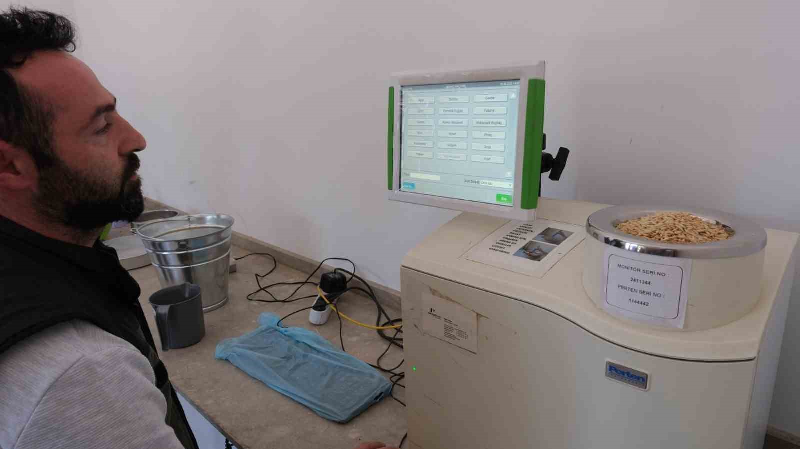 Erzincan’da hububatta ilk hasat başladı 