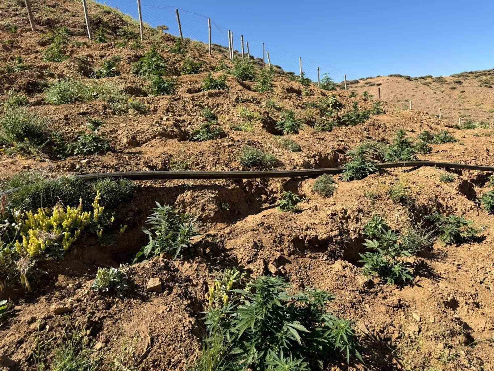 Bingöl’de uyuşturucu operasyonu 