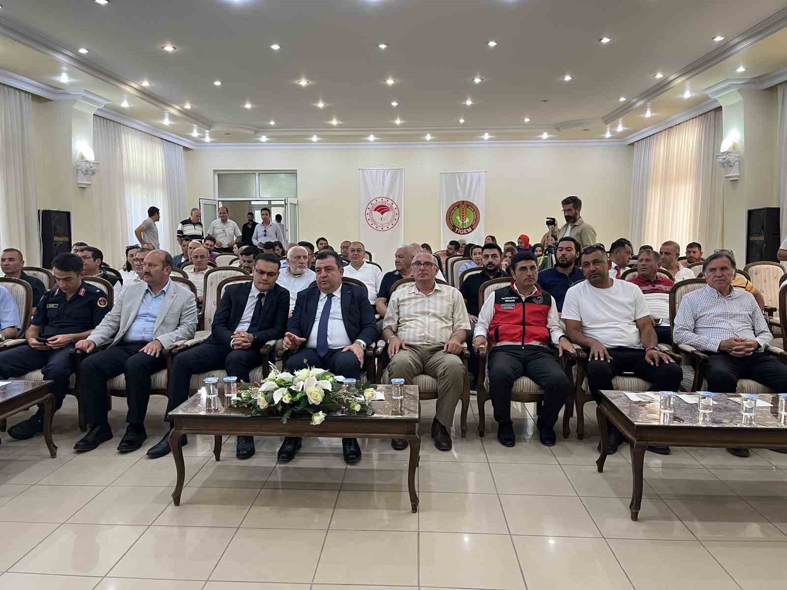 Türkiye’de hububatta toprağa düşen her dört tohumdan birini TİGEM üretiyor 