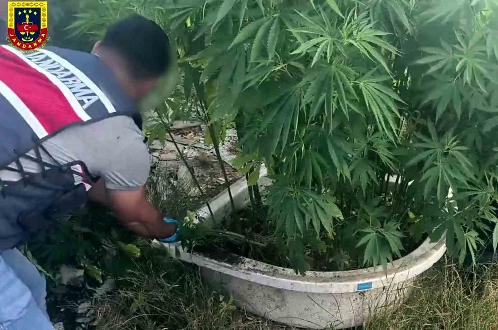 Sakarya’da uyuşturucu operasyonu: 1 tutuklama 