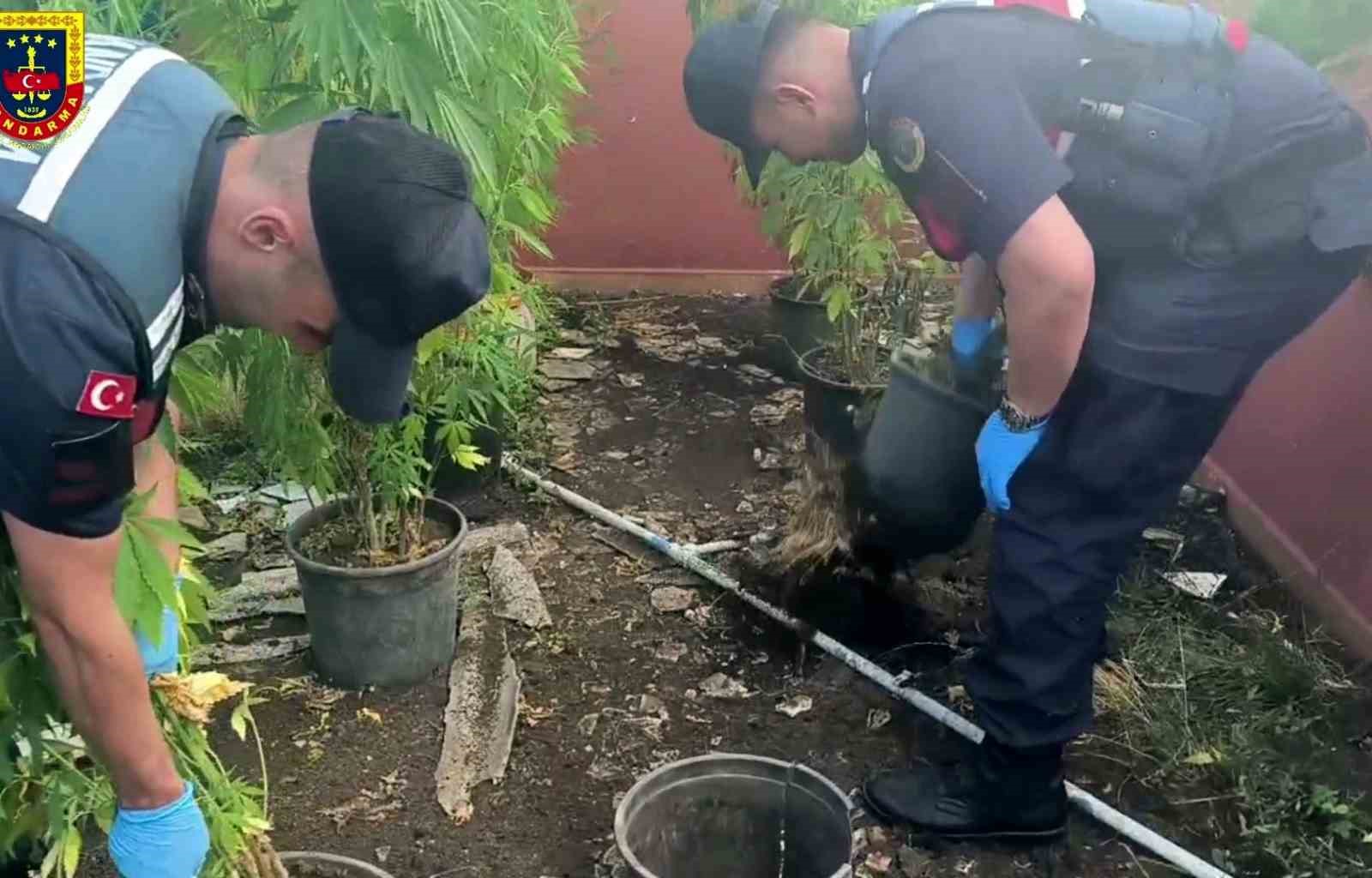 Sakarya’da uyuşturucu operasyonu: 1 tutuklama 