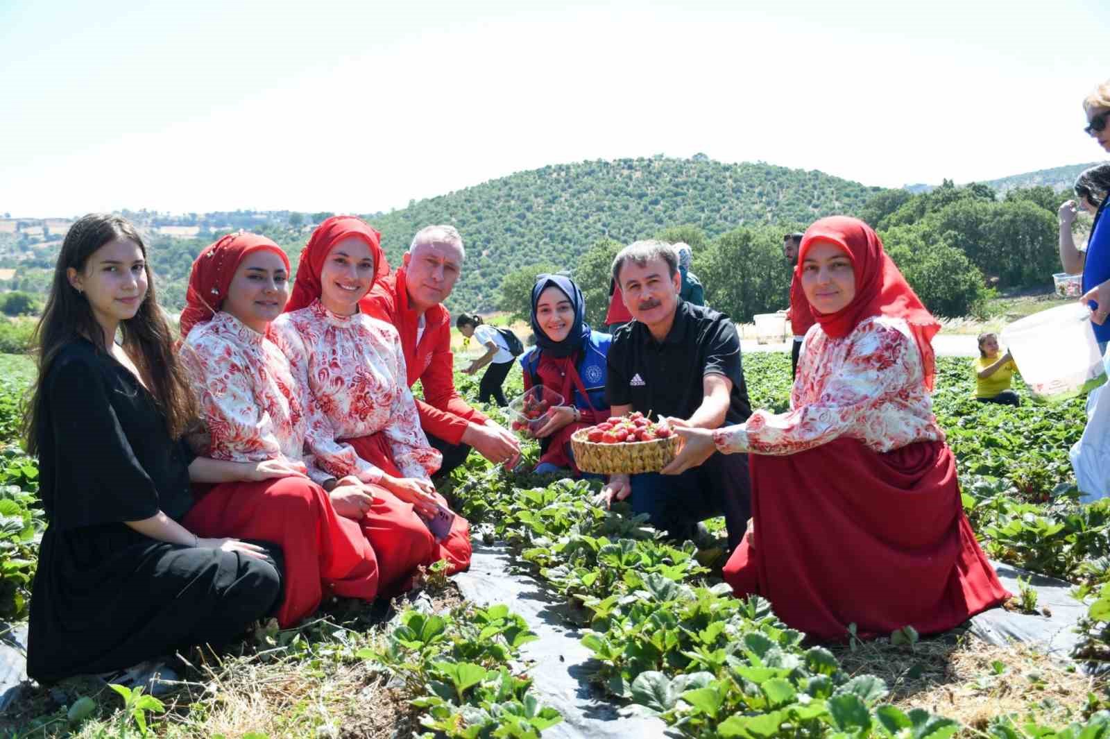 Balıkesirli gençlerden ’Gönüllü Hasat’ etkinliği 