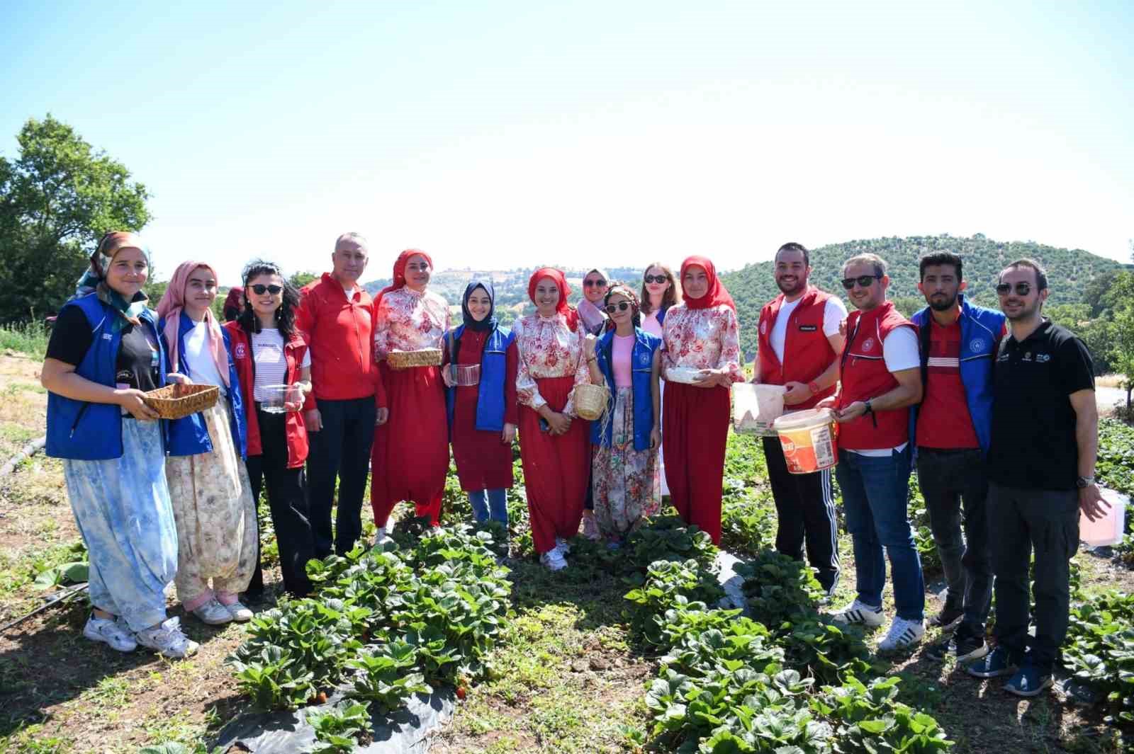 Balıkesirli gençlerden ’Gönüllü Hasat’ etkinliği 