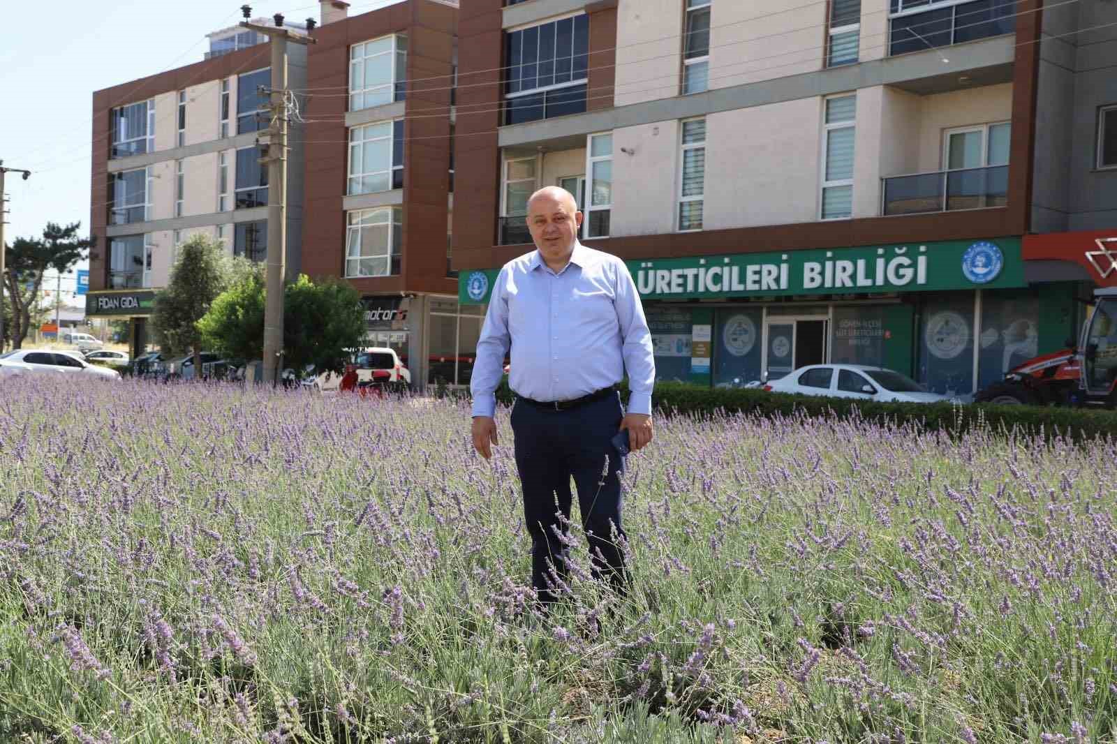 Gönen’de biyogaz tesisine 