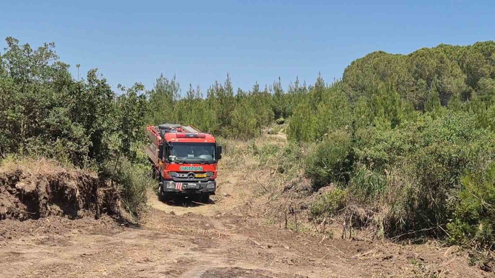 Şarköy’de çıkan orman yangını havadan ve karadan müdahaleyle kontrol altına alındı 