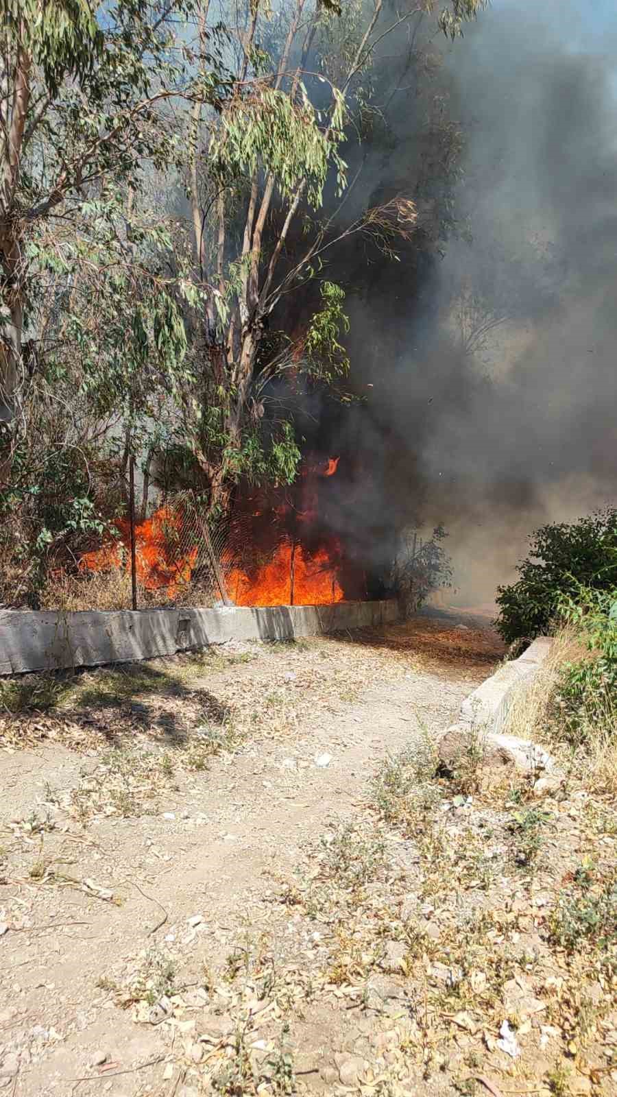 Bodrum’da otluk alanda çıkan yangın site sakinlerini korkuttu 