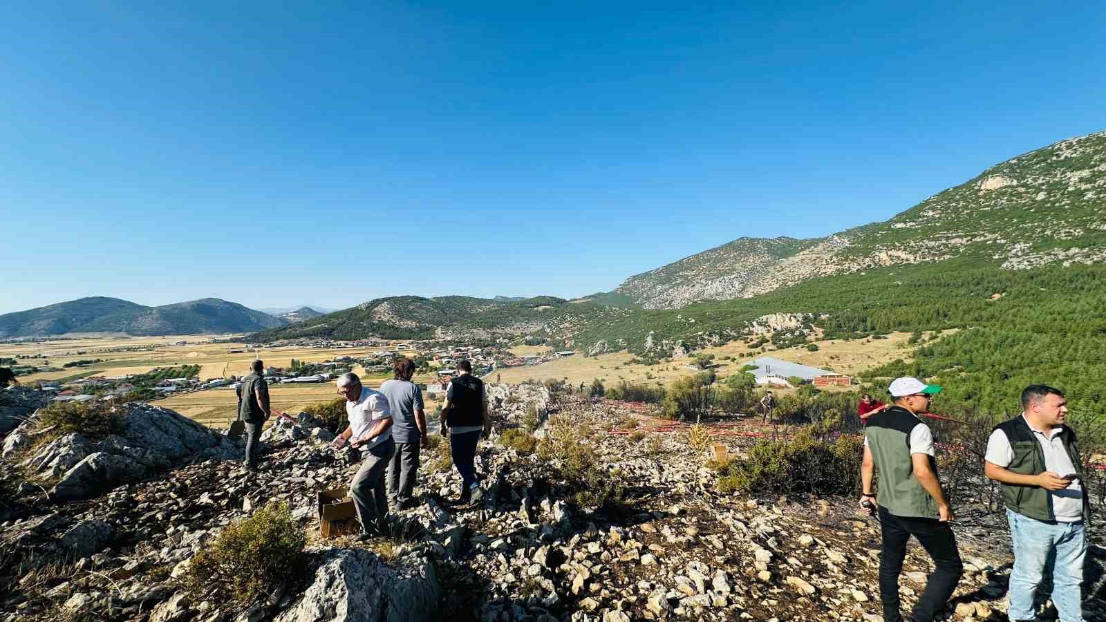 Bucak’taki orman yangını söndürüldü 