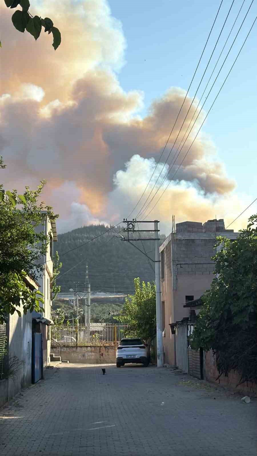 Aliağa’daki orman yangıyla ilgili 1 kişi tutuklandı 