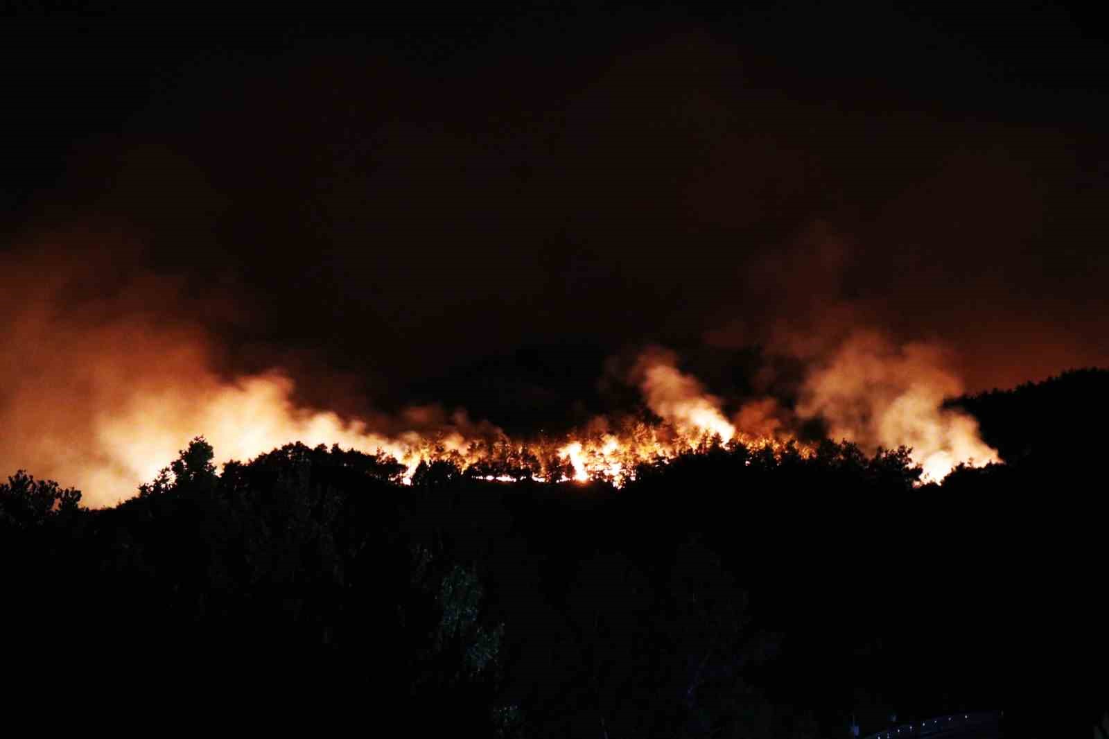 Sakarya’daki orman yangını havadan görüntülendi 