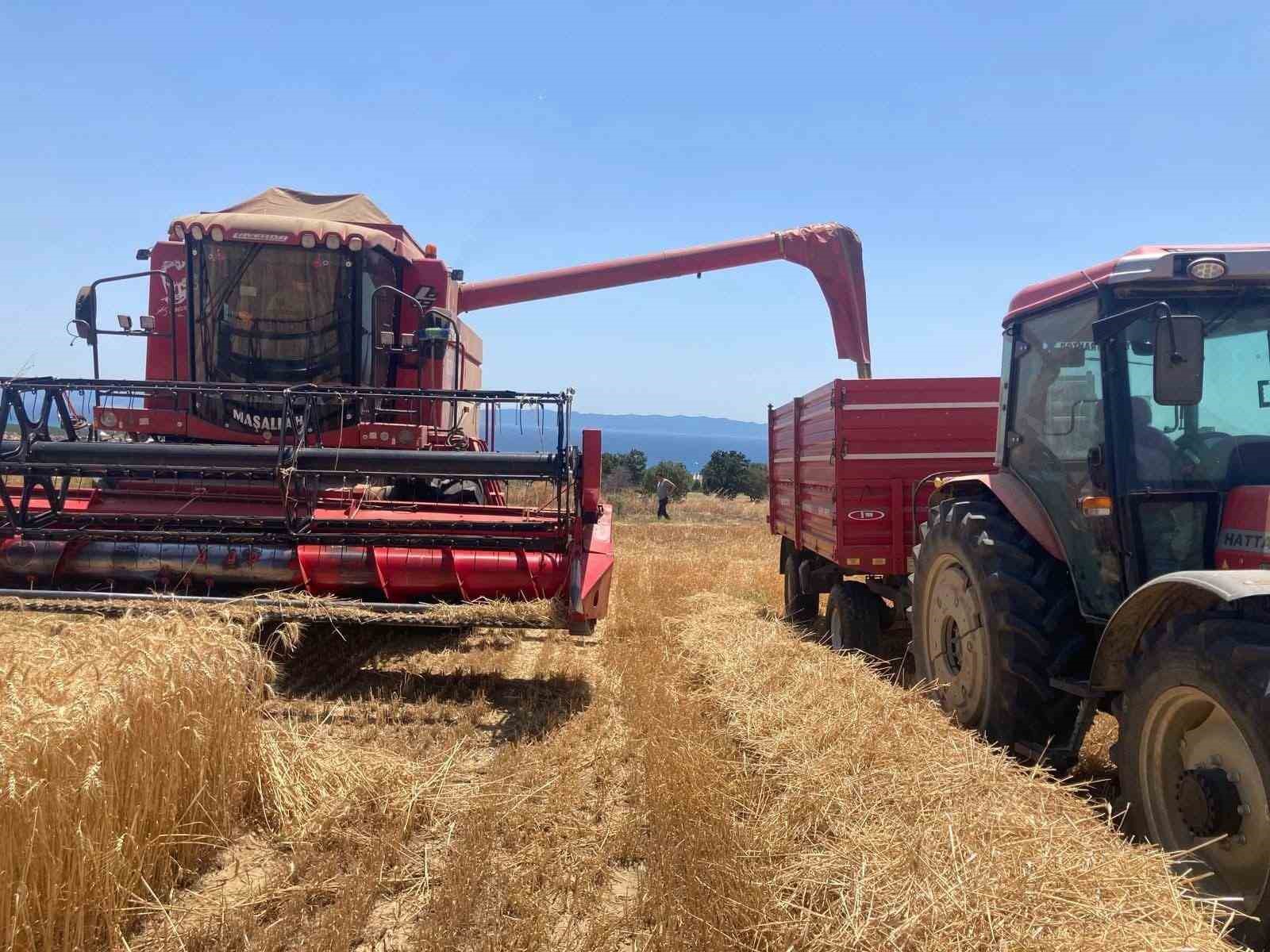 Lalapaşa’da hasada saat düzenlemesi 