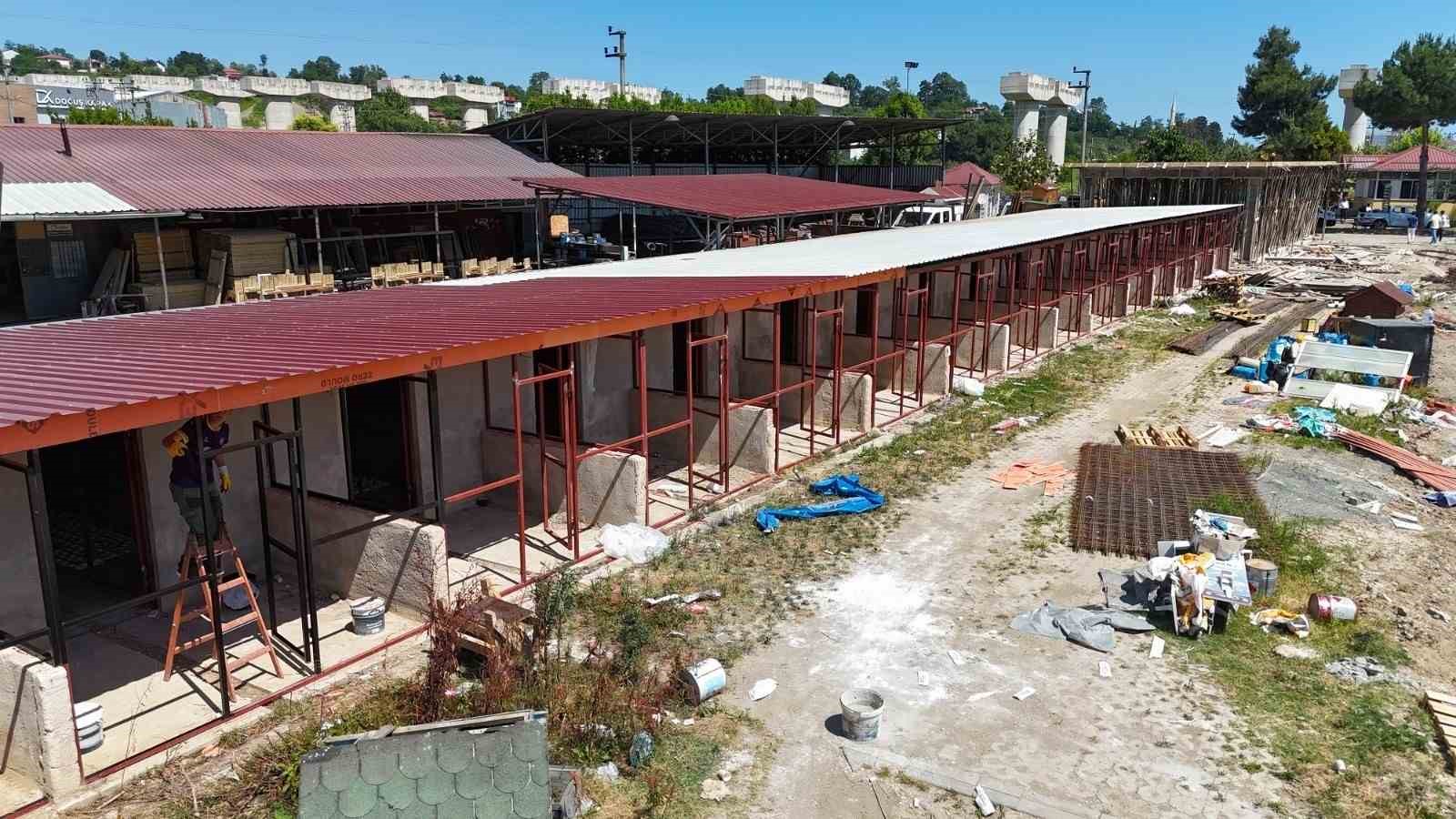 Ordu’da sokak hayvanlarına modern yaşam alanı 