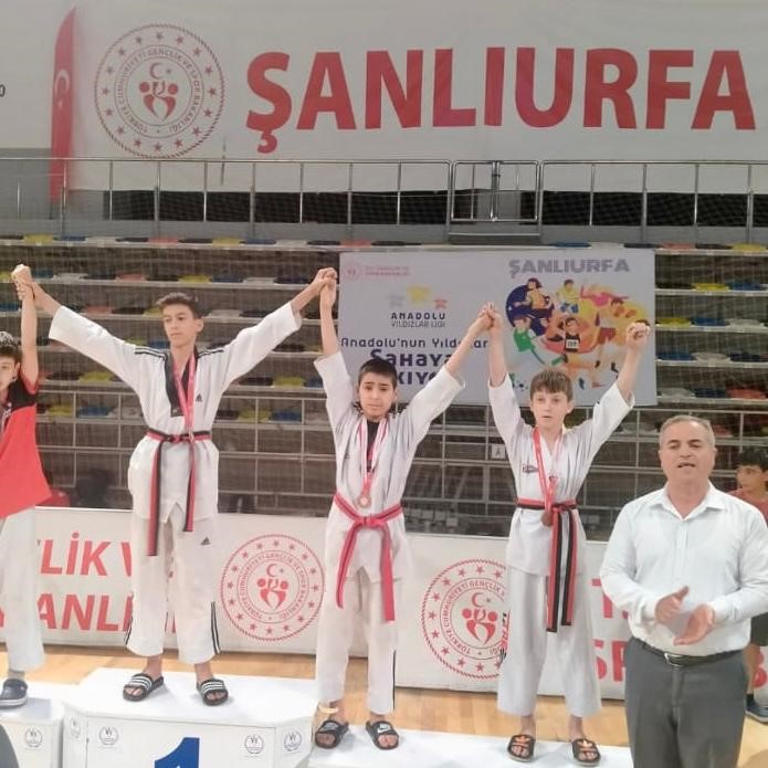 Elazığ erkek takımı taekwondoda şampiyon oldu 