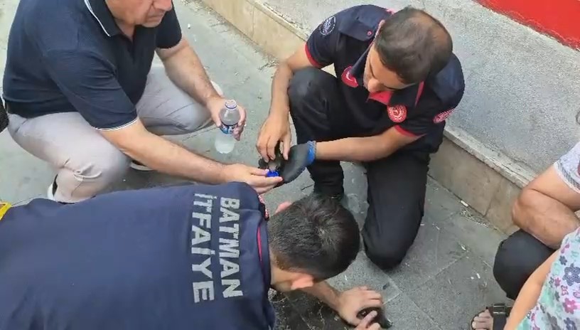 Batman’da ebabil kuşları için seferberlik 