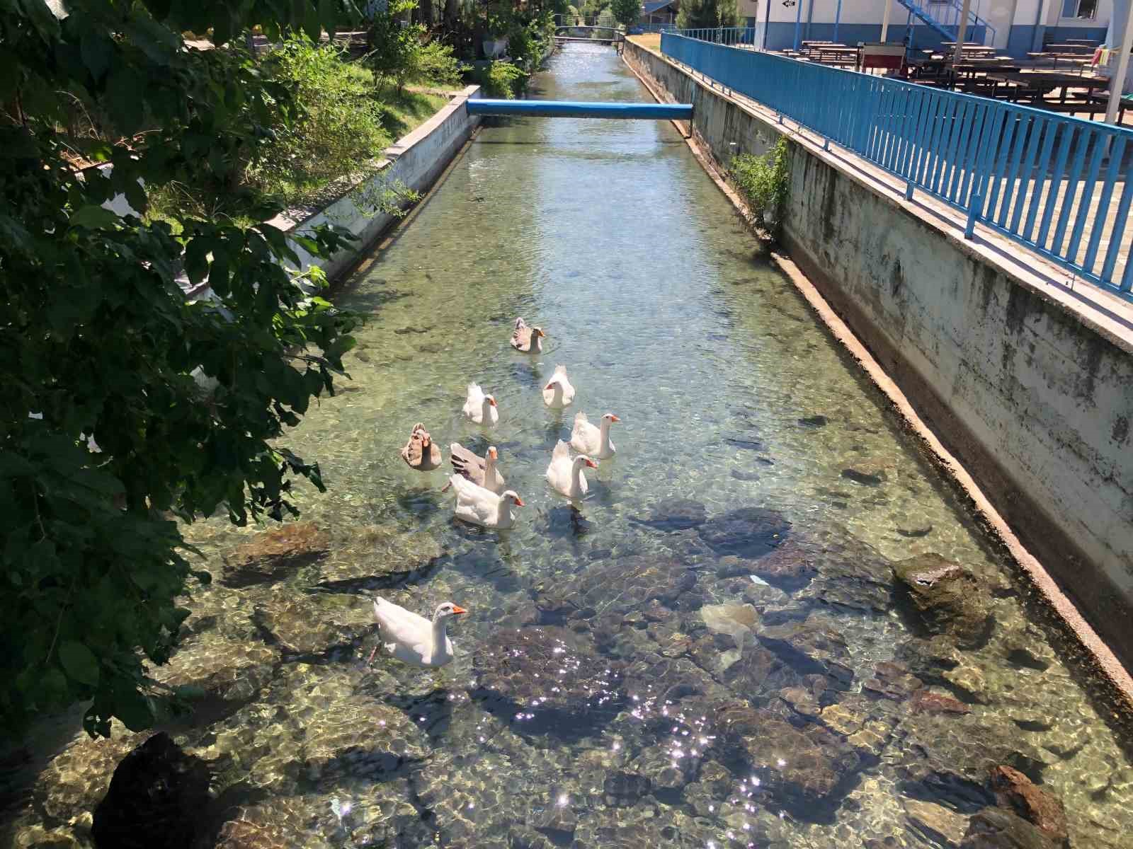 İnönü Havacılık Eğitim Merkezi’ndeki doğal güzellik 