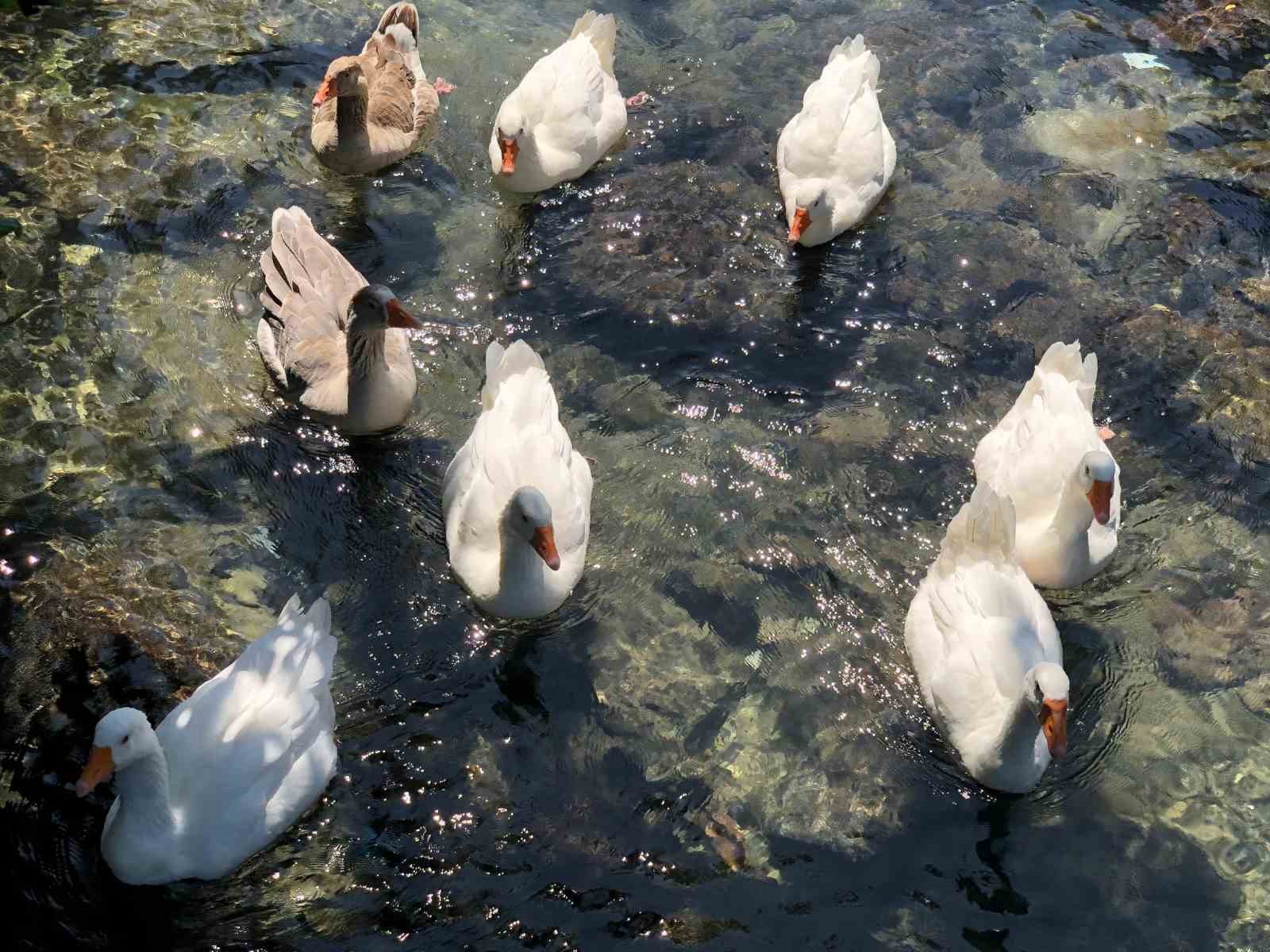 İnönü Havacılık Eğitim Merkezi’ndeki doğal güzellik 