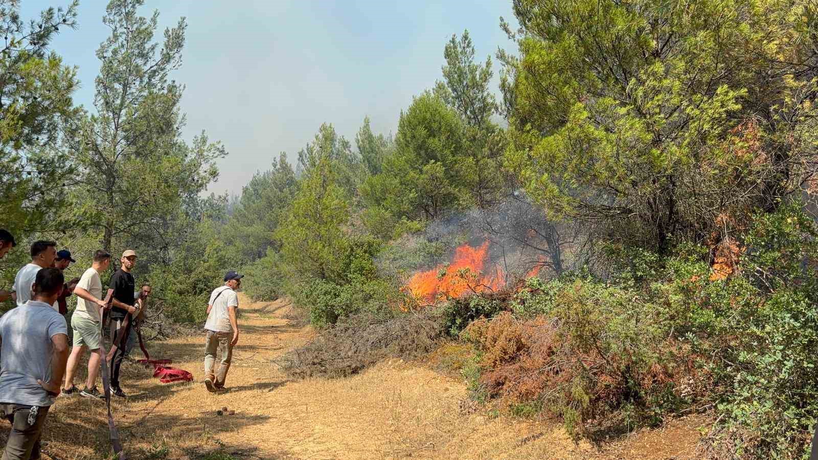 Vali Özkan yangın bölgesindeki son durumu açıkladı 