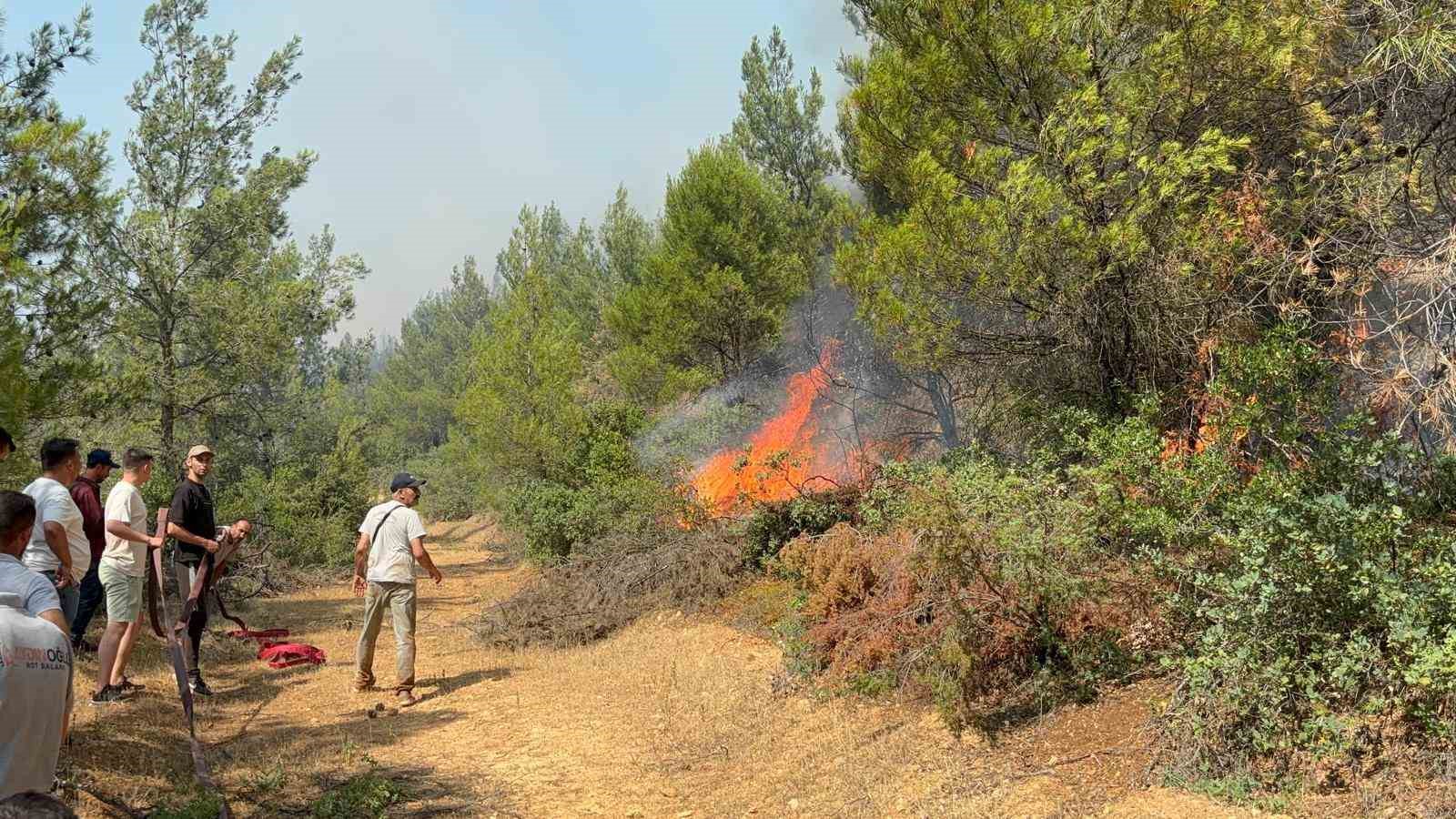 Vali Özkan yangın bölgesindeki son durumu açıkladı 