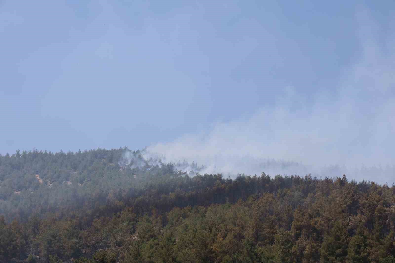 Kahramanmaraş’ta orman yangınlarından biri kontrol altına alındı, diğeri sürüyor 