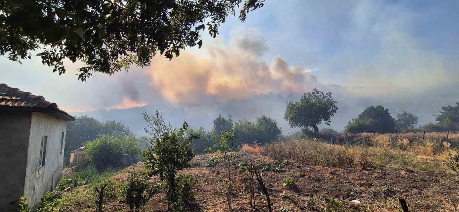 Kepsut’taki orman yangını köyü tehdit ediyor 