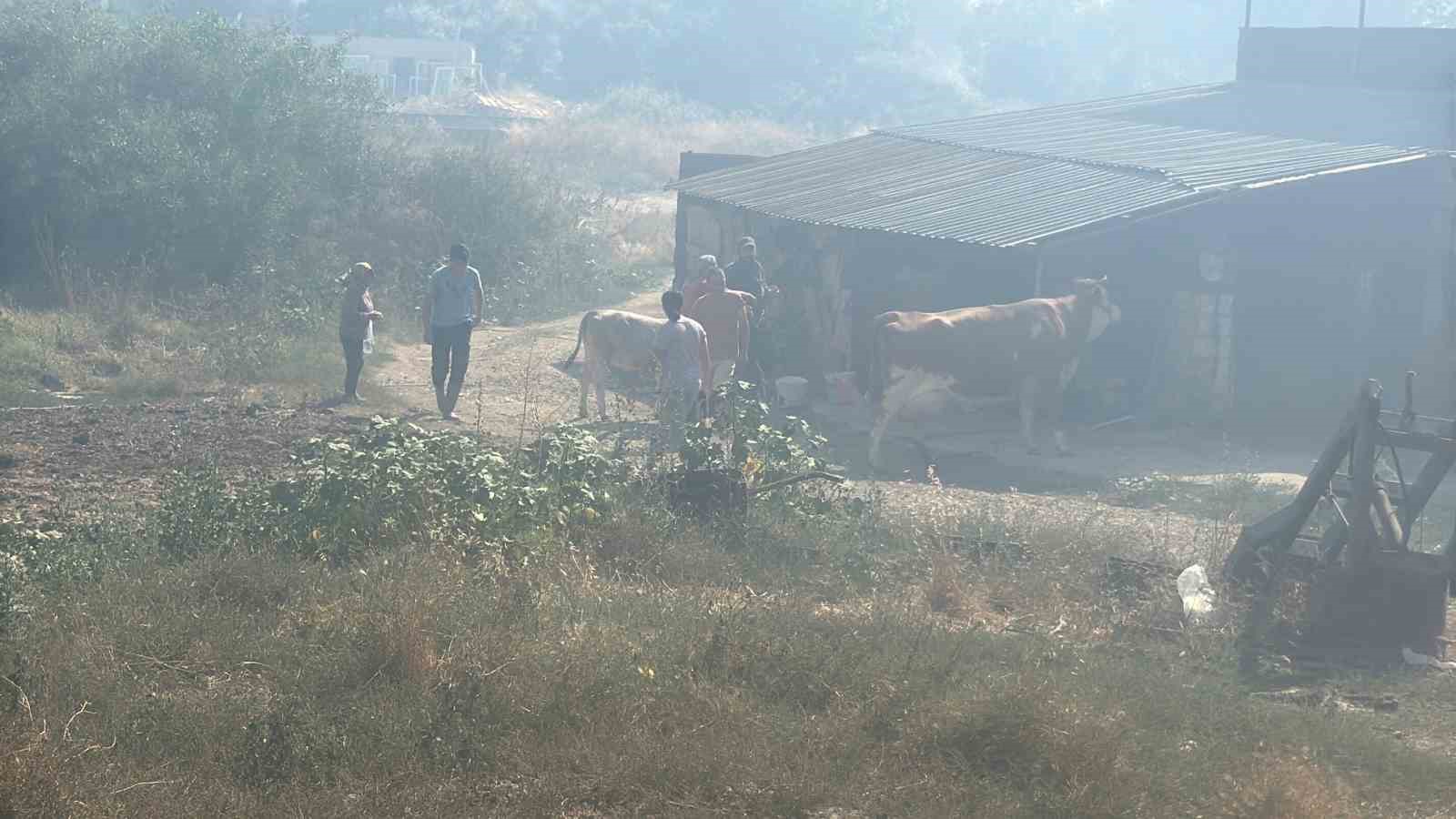 Bodrum’da makilik alanda çıkan yangın 3 saatte söndürüldü 