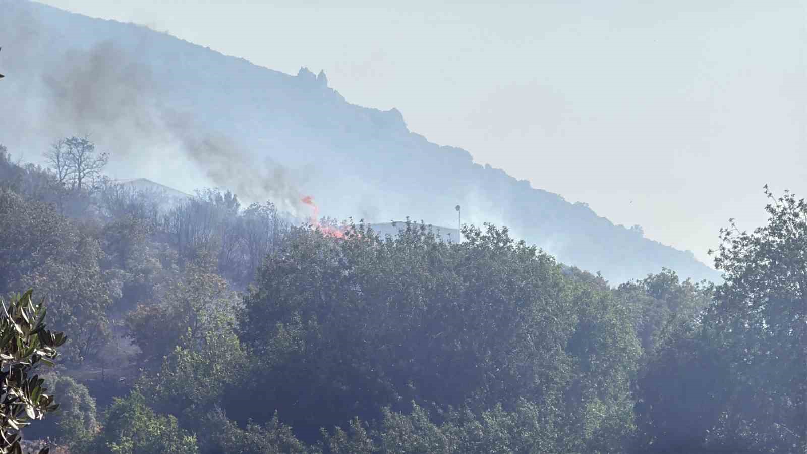 Bodrum’da makilik alanda çıkan yangın 3 saatte söndürüldü 