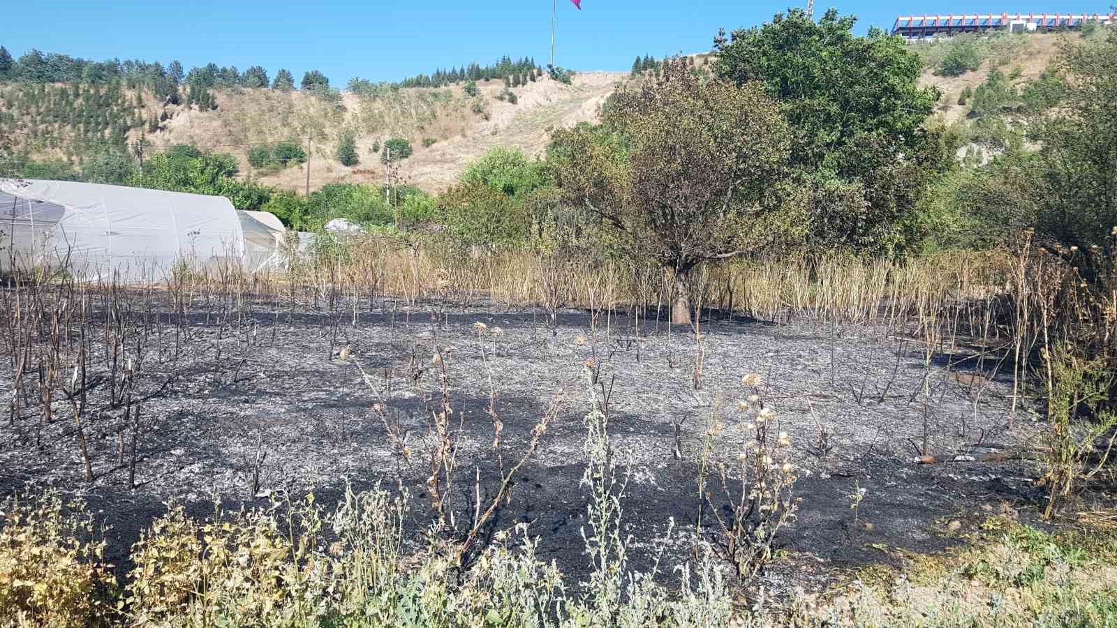 Karabük’te seraların yoğun bulunduğu alandaki anız yangını korkuttu 