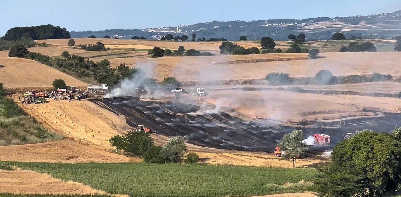 Sakarya’da yangın: 200 saman balyası yandı, çiftçiler traktörleriyle müdahale etti 